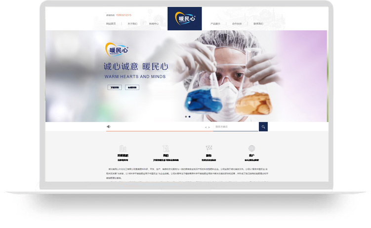 企業網站建設案例