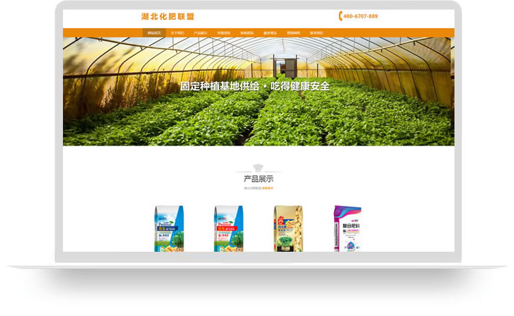 企業(yè)網(wǎng)站制作案例,手機(jī)網(wǎng)站制作案例